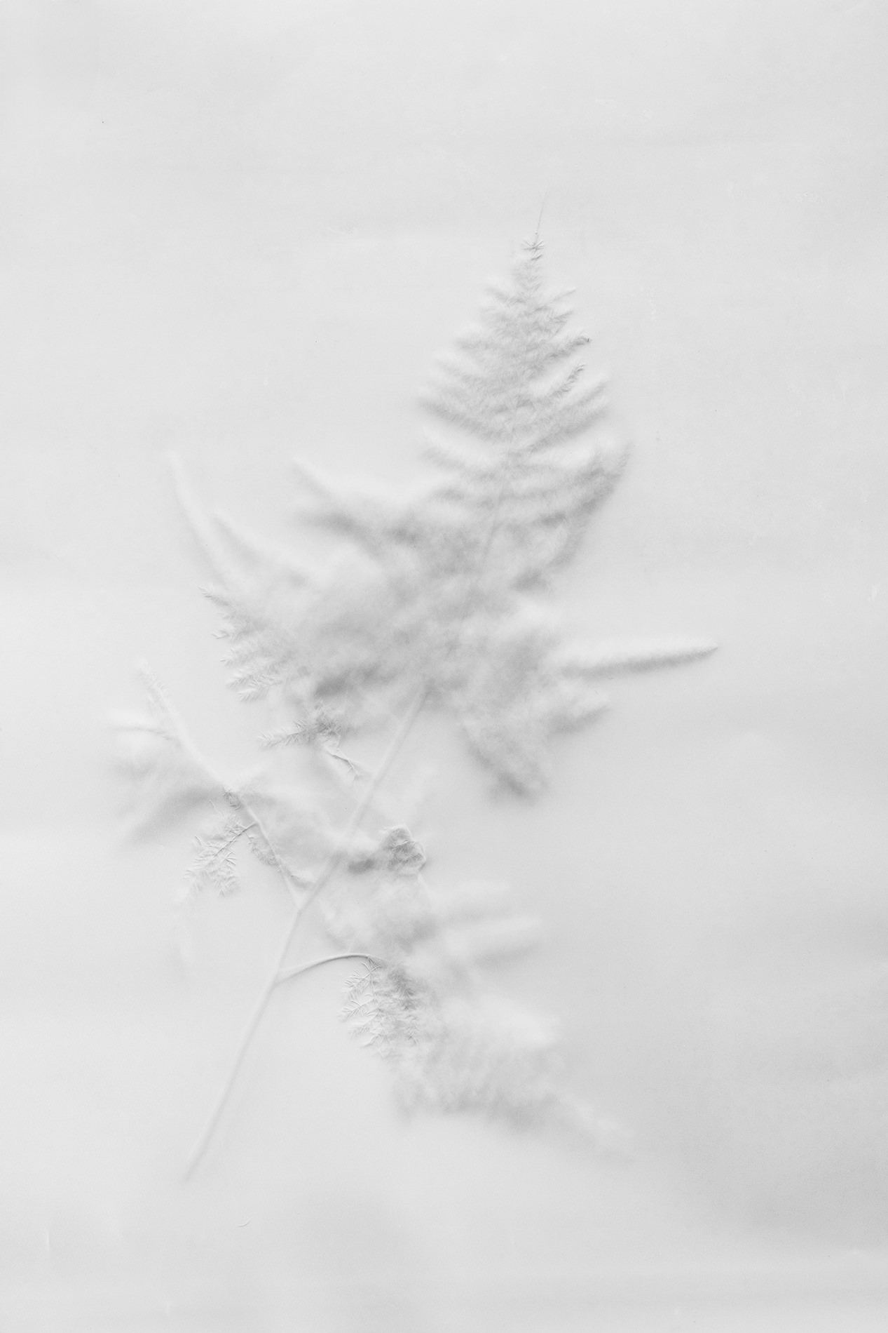 Curso de fotografía básica en Toledo con práctica en exterior por el casco histórico