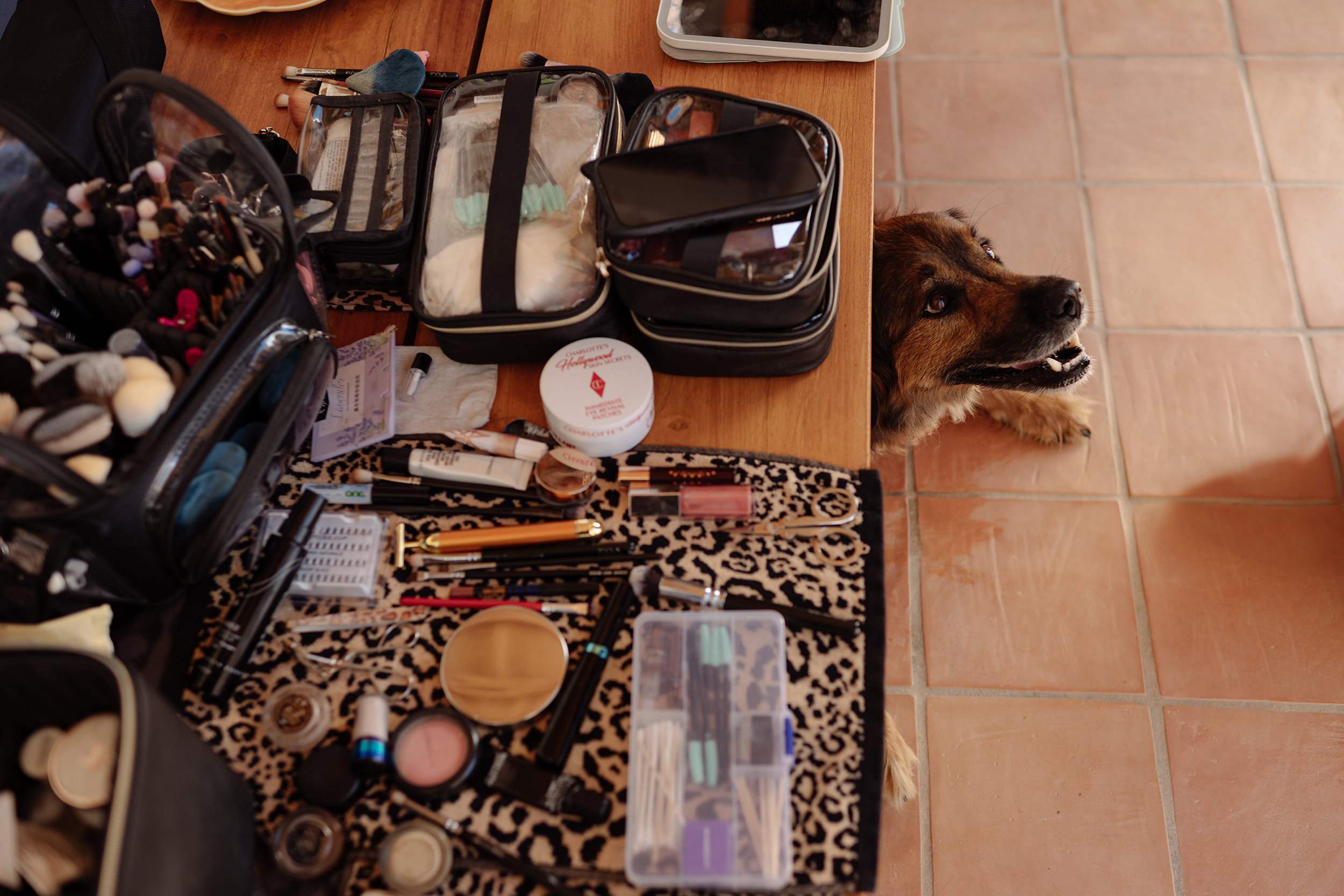 Maquillaje, objetos personales y uno de los perros de la pareja